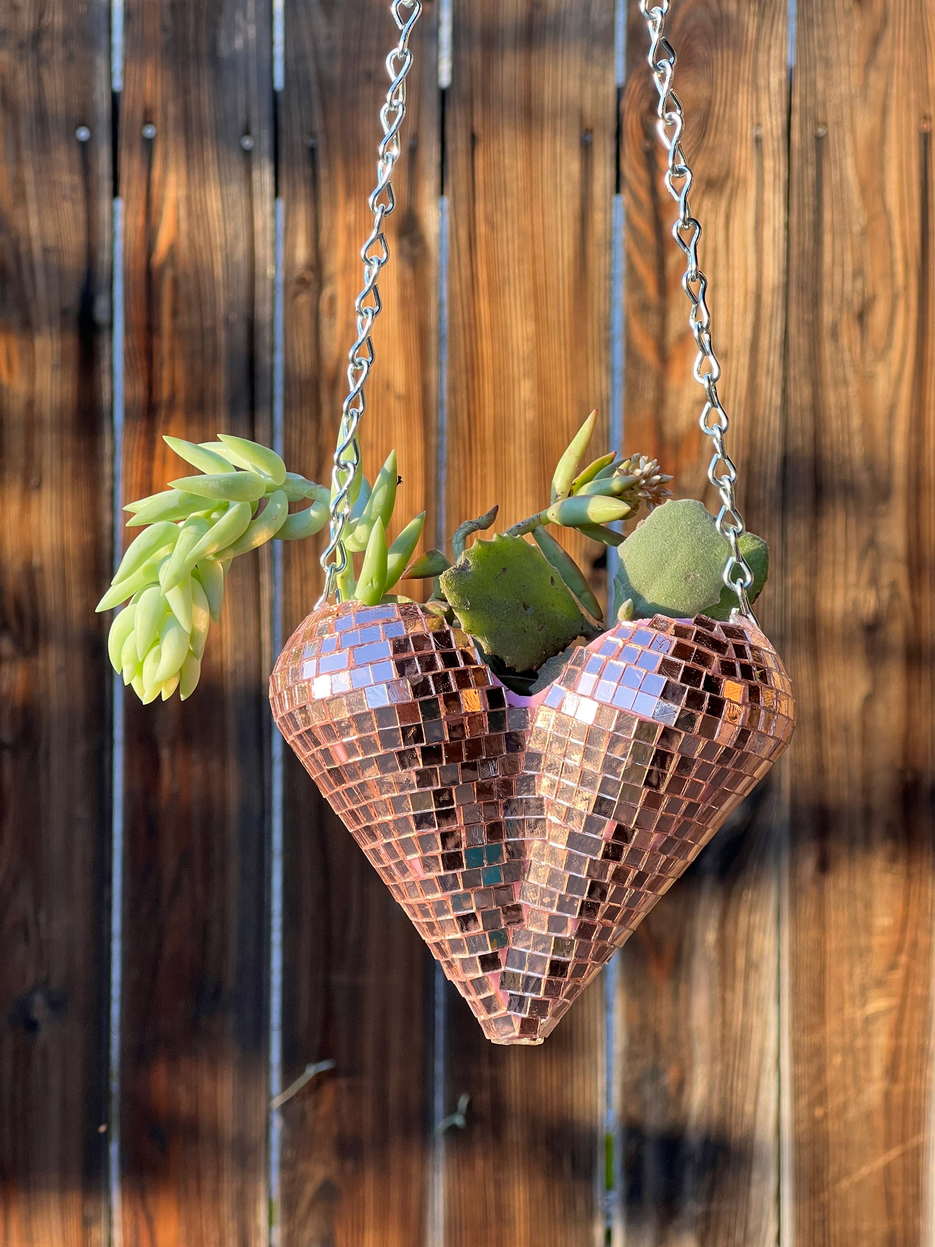 heart shaped planter for succulents Hanging Heart Disco Planter – echo echo studio