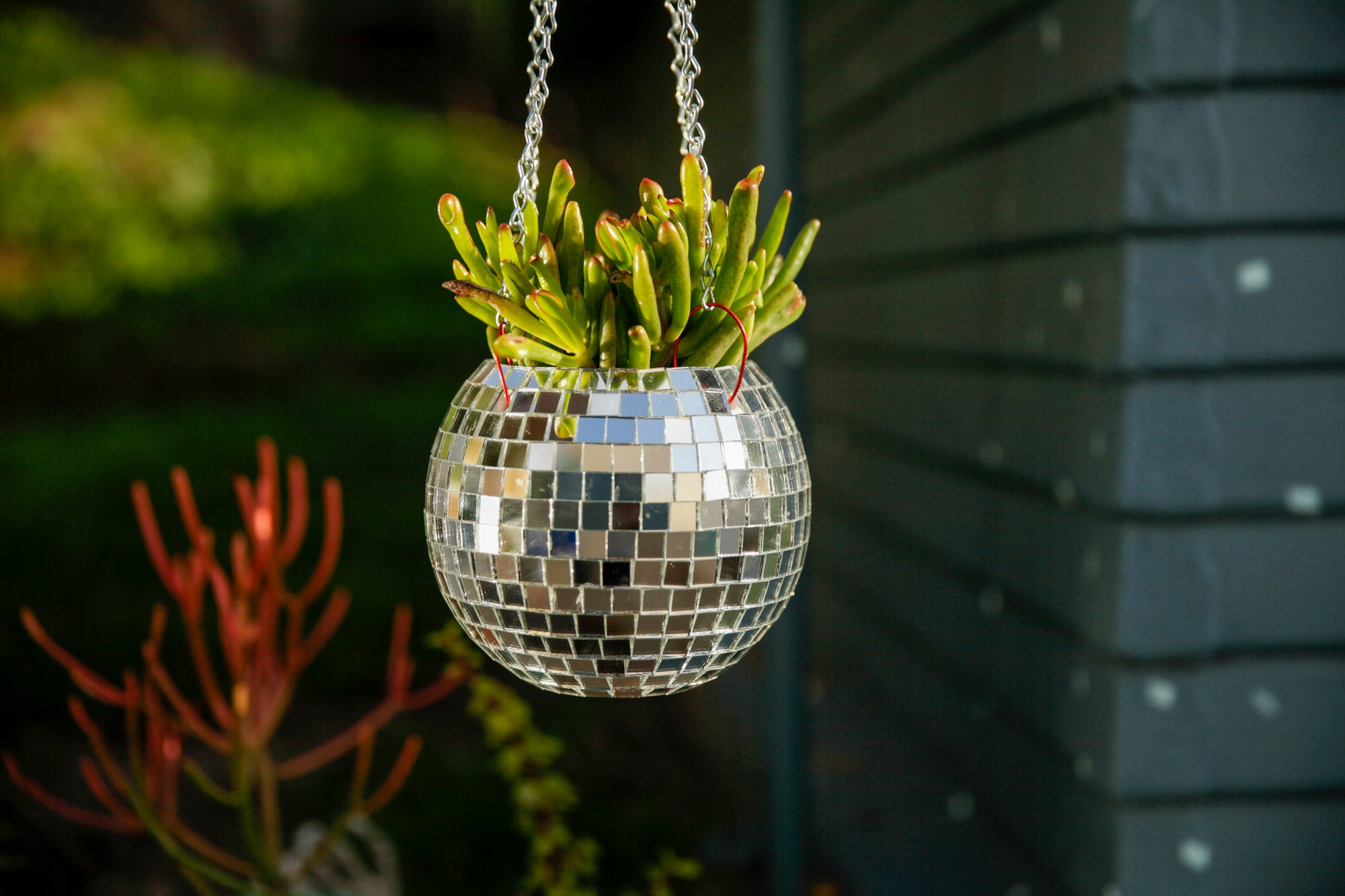 ball plant pot Disco Ball Hanging Planter (4in)